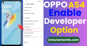 How to Enable Developer Options in OPPO A54